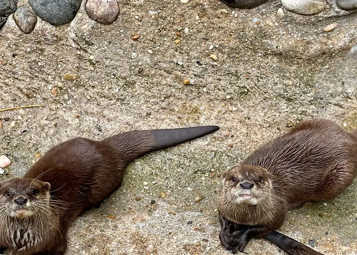 Atypical Mobile 4 Bedrooms 2 Bathrooms - Family Jf02 Tatil Evi