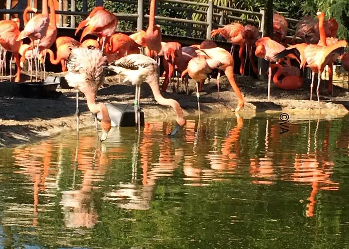 Atypical Mobile 4 Bedrooms 2 Bathrooms - Family Jf02 * Les Mathes