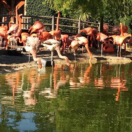 Atypical Mobile 4 Bedrooms 2 Bathrooms - Family Jf02 * レ・マトゥ